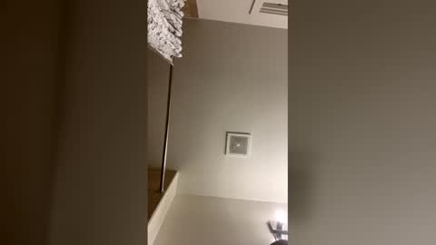 Snapshot of king14747 chatting on 05-24-26, 02:49 king14747 online show from 05-24-26, 02:49