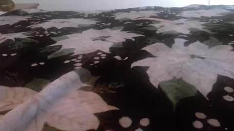 Kinky K80 online show from 11-24-25, 02:50