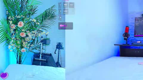    online show from 11-12-25, 12:11