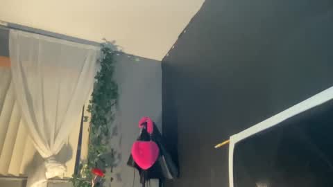 Snapshot of kinkykittee chatting on 01-02-25, 11:41 Bunniii online show from 01-02-25, 11:41