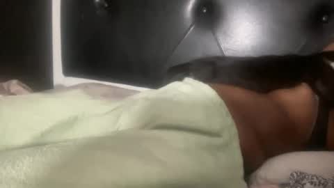 Snapshot of kinkykittee chatting on 02-03-25, 05:40 Bunniii online show from 02-03-25, 05:40