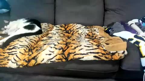 Snapshot of kinkykortney chatting on 02-04-25, 06:17 Kinky online show from 02-04-25, 06:17