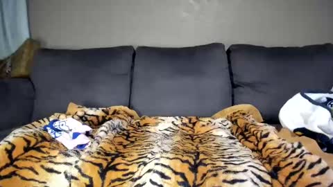 Snapshot of kinkykortney chatting on 02-11-25, 12:16 Kinky online show from 02-11-25, 12:16