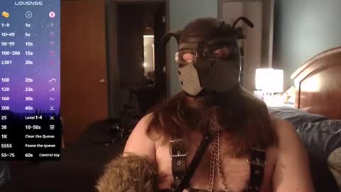 kinkywolf87 online show from 02-02-25, 08:24