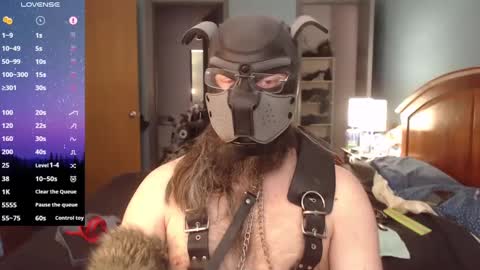 kinkywolf87 online show from 02-27-25, 06:42