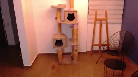 kintsugi online show from 11-07-25, 04:01