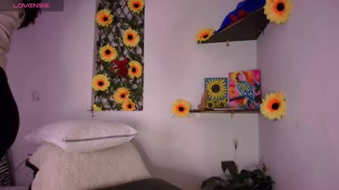 Helena and Brad online show from 02-19-26, 03:02