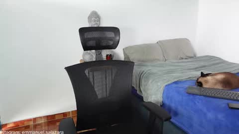 kite__ online show from 12-15-24, 03:53