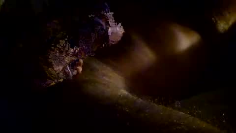 Kitkat loco online show from 11-03-25, 09:54