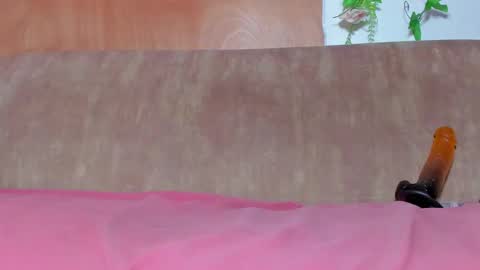 Kitsune-sama online show from 09-20-25, 02:40