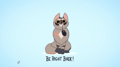 Kitty online show from 02-13-25, 11:58
