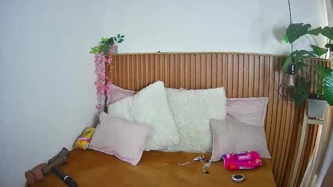 K I T T Y   online show from 02-04-26, 08:14