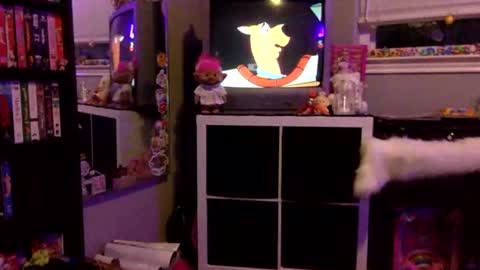 kittykatcoco online show from 11-11-25, 04:23