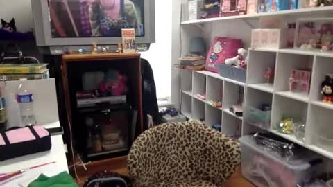 kittykatcoco online show from 01-08-26, 08:22