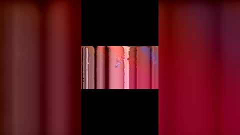 kittypurrrrry online show from 03-02-26, 05:31