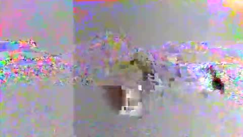 kjaimejimmy online show from 11-08-25, 08:47