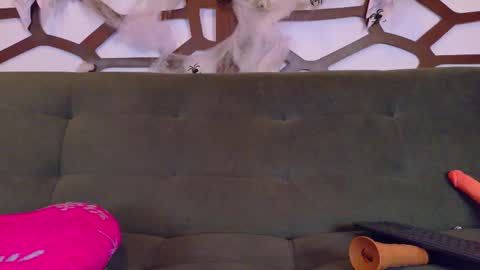 kloe_bella online show from 10-27-25, 03:38