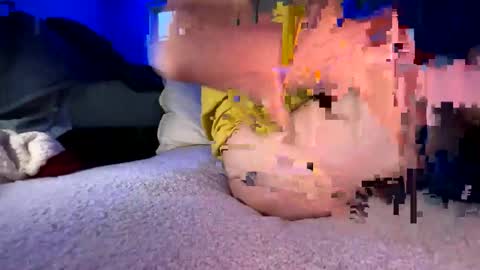 knautyknight online show from 03-31-26, 11:38