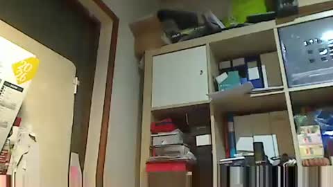 kokin3034 online show from 02-02-26, 06:01