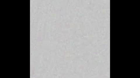Neil online show from 02-23-25, 12:48