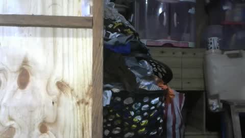 Snapshot of krishasweet chatting on 12-11-24, 03:58 krishasweet online show from 12-11-24, 03:58