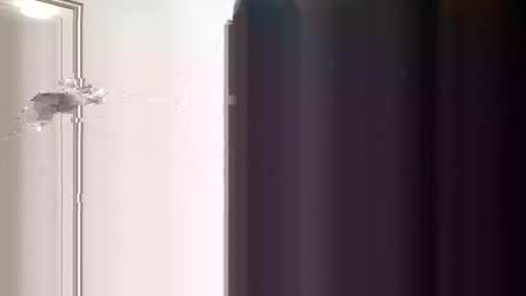 kumnice online show from 06-10-26, 07:24