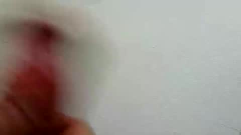 Snapshot of l0cean chatting on 02-26-26, 03:16 l0cean online show from 02-26-26, 03:16