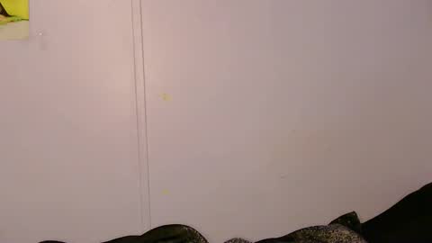 Snapshot of l1lybaby chatting on 05-05-26, 09:17 Lily online show from 05-05-26, 09:17