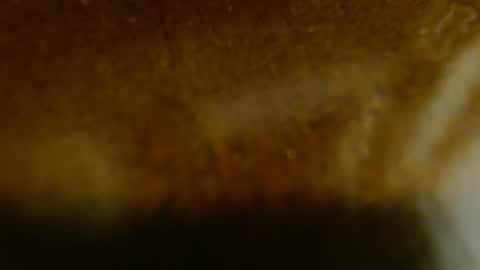 Snapshot of la_teaser chatting on 11-20-25, 01:17 la teaser online show from 11-20-25, 01:17