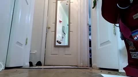 lacybell online show from 01-08-25, 02:14