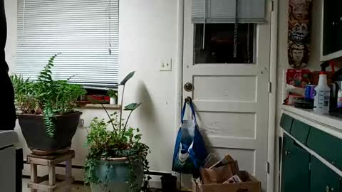 lacybell online show from 02-15-25, 05:19