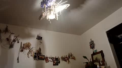 lacybell online show from 10-09-25, 07:17