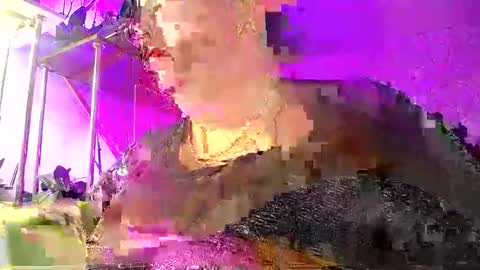 Lady Gloria online show from 01-08-26, 05:43