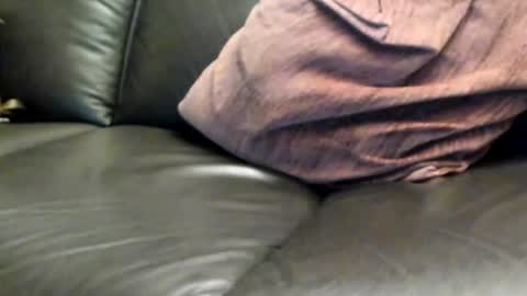 Snapshot of ladyloverwithcock chatting on 03-08-25, 07:53 tomtom online show from 03-08-25, 07:53