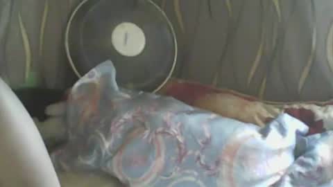 LadyXSnakes online show from 01-10-25, 05:26