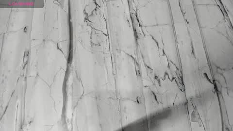 laiily bell online show from 02-24-26, 12:25