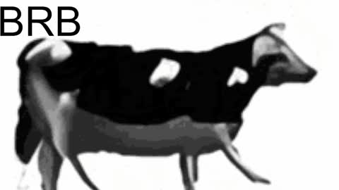 just call me Lana  and her security online show from 02-06-25, 11:10