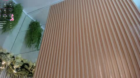 lana_lann online show from 12-28-24, 03:37