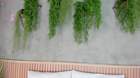 lana_lann online show from 01-27-25, 11:43