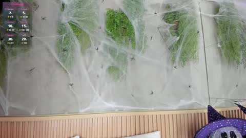 lana_lann online show from 10-27-25, 11:47