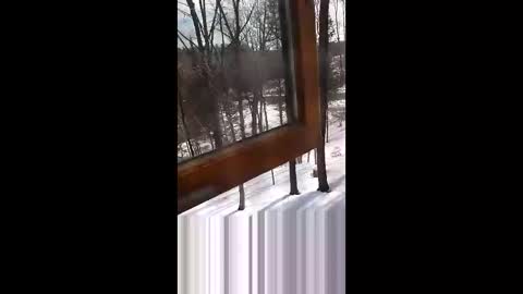 langederek2 online show from 03-19-26, 03:27