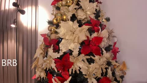 Tiana online show from 12-19-24, 11:25