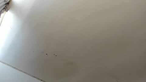 Snapshot of lara_jean23 chatting on 10-23-25, 03:44 Lara online show from 10-23-25, 03:44