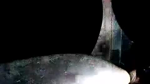 latexchris77 online show from 01-07-26, 07:55