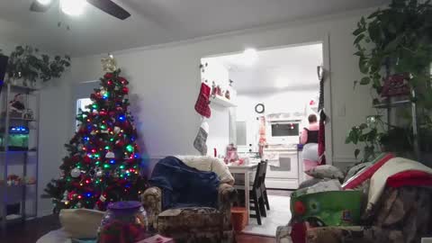 LauLauMa online show from 12-23-24, 04:33