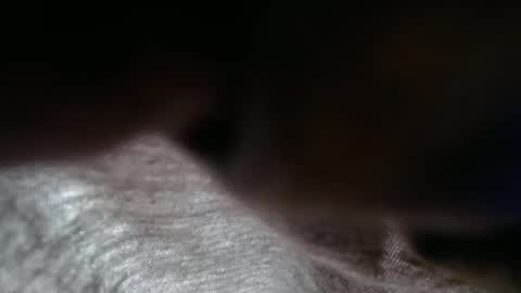 Snapshot of launeeee1 chatting on 02-03-26, 02:55 launeeee1 online show from 02-03-26, 02:55