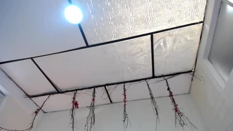 Snapshot of laura_candy02 chatting on 03-23-26, 03:38 LAURA online show from 03-23-26, 03:38