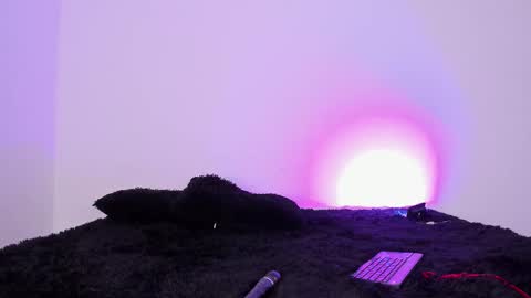 Snapshot of laurensmith9 chatting on 09-26-25, 12:42 laurensmith9 online show from 09-26-25, 12:42