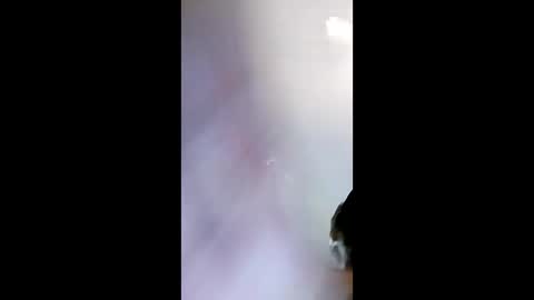 leeassfat online show from 05-11-26, 11:05