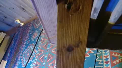 Snapshot of lefrancais33000 chatting on 12-19-24, 05:50 Dliciousman online show from 12-19-24, 05:50